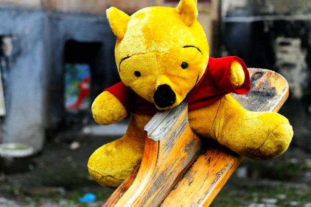 10 Kata-Kata Winnie the Pooh. Foto:Pexels/Inna Lesyk.