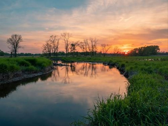 Ilustrasi Sungai di Jawa Tengah. Sumber: Unsplash