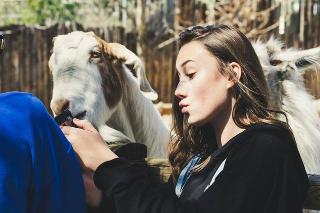 Zoo date Jakarta. Foto hanya ilustrasi, bukan yang sebenarnya. Sumber: Pexels/Brett Sayles