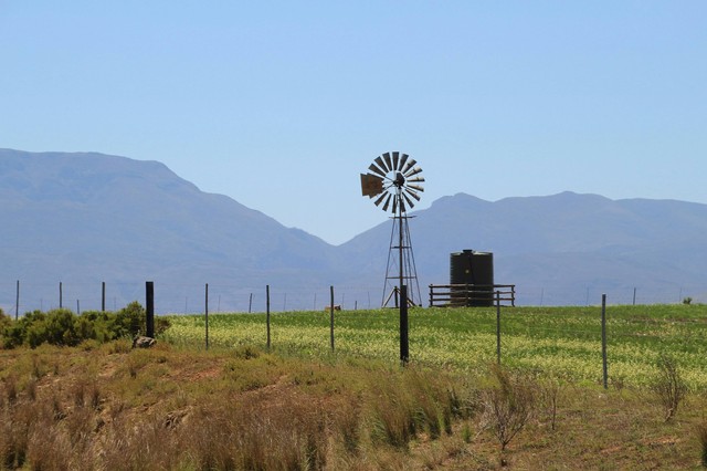 The Ranch Megamendung, foto hanya ilustrasi, bukan tempat sebenarnya: Unsplash/Uta Scholl