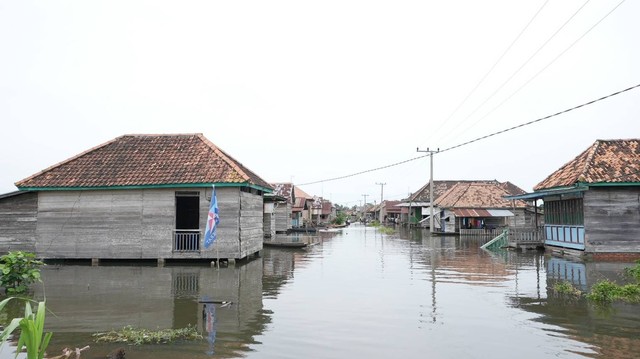 Sejumlah rumah warga yang terdampak banjir akibat luapan air sungai di salah satu kecamatan Kabupaten Musi Banyuasin Sumatera Selatan, Sabtu (20/1) Foto: urban id