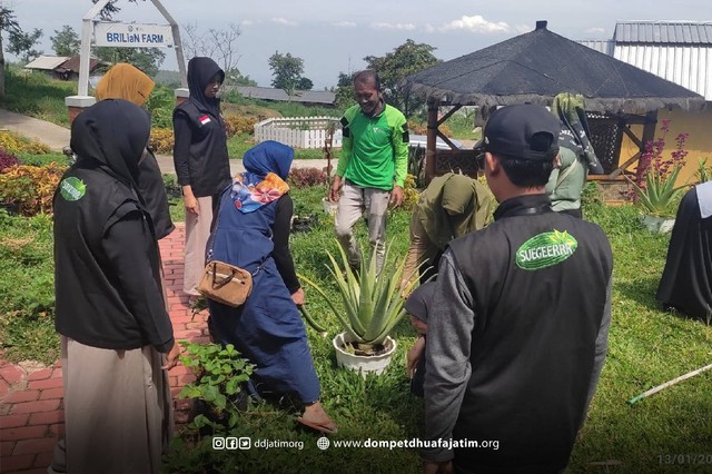 Sebagai upaya meningkatkan keterampilan dan potensi usaha mikro, kecil, dan menengah (UMKM) di Kawasan Eduwisata BRILIaN Farm Mojokerto, sebuah pelatihan khusus telah diselenggarakan untuk mengajarkan teknik pengolahan Aloevera menjadi minuman sehat. Pelatihan ini merupakan bagian dari program pemberdayaan UMKM yang diinisiasi oleh Dompet Dhuafa Jawa Timur. (Minggu, 21/01/2024)