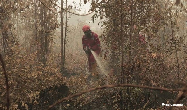 Akibat pertumbuhan ekonomi yang tidak seimbang dengan pelestarian lingkungan (Dokumen Merza Gamal)