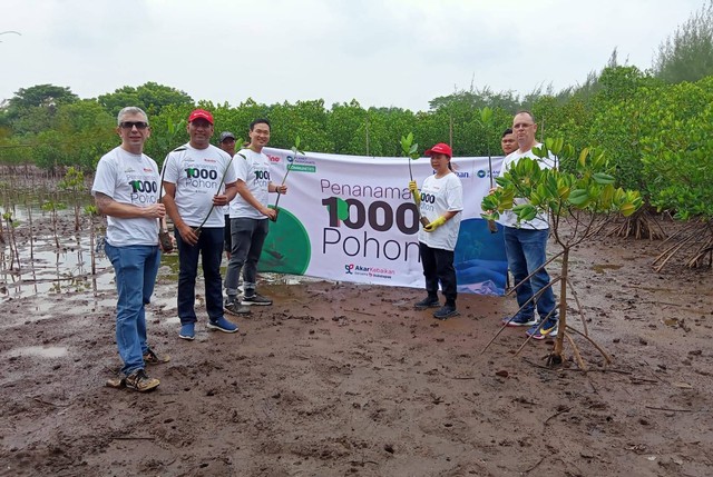 Penanaman pohon di kawasan Pantai Penunggul, Nguling, Pasuruan, kolaborasi Kingspan, Onduline, dan Bukalapak, Selasa (23/1). Foto-foto: Masruroh/Basra