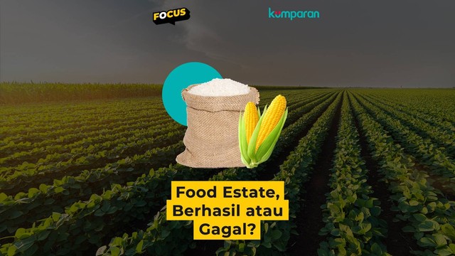 Focus food estate. Foto: kumparan