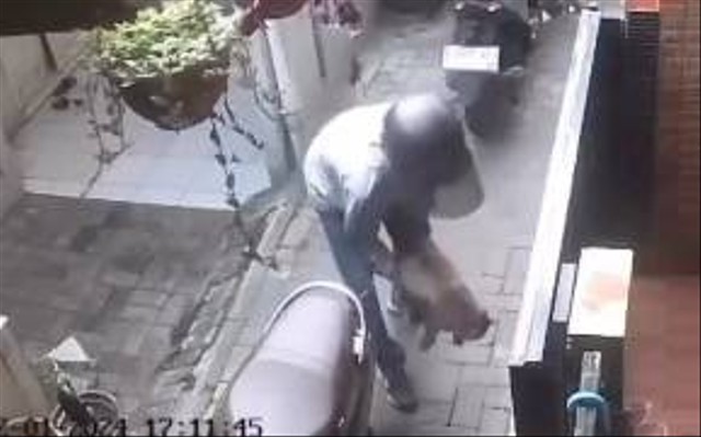 CCTV pencurian kucing. Dok: Polres Metro Tangerang Kota.