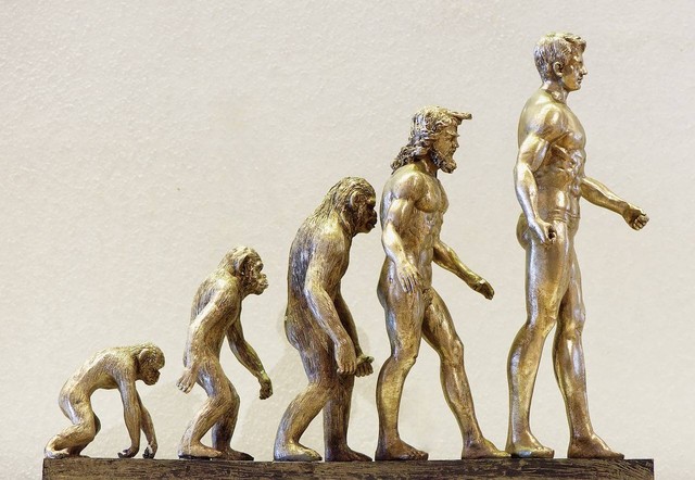 Ilustrasi Jenis-Jenis Evolusi Biologi. Sumber: Pixabay/Alexas_Fotos