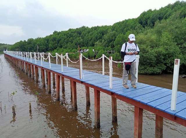 Hutan mangrove seluas 140 hektare di kawasan Pantai Penunggul, Nguling, Pasuruan. Foto foto: Masruroh/Basra