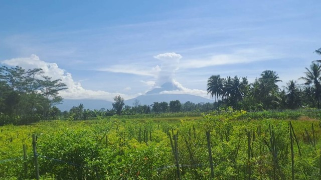 Gunung Merapi meletus, Kamis (25/1/2024). Foto: Dok. Istimewa