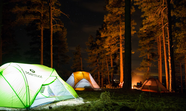 Tempat camping di Bandung bawa tenda sendiri. Foto hanya ilustrasi, bukan tempat sebenarnya. Sumber: Unsplash/Tommy Lisbin