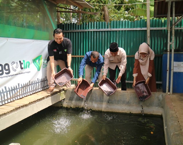 PT Bukit Asam Tbk Lepaskan 10.000 Bibit Ikan Lele sebagai bentuk dukungan program maggotin Dompet Dhuafa Lampung di Karang Ayar, Lampung Selatan (Rabu, 23/01/2024)
