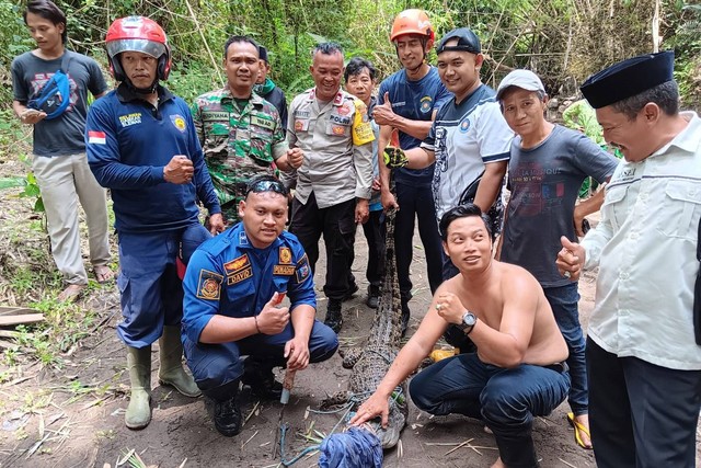 Damkar evakuasi buaya di Sungai Tepus, Dusun Jetak, Sleman. Foto: Dok. Istimewa