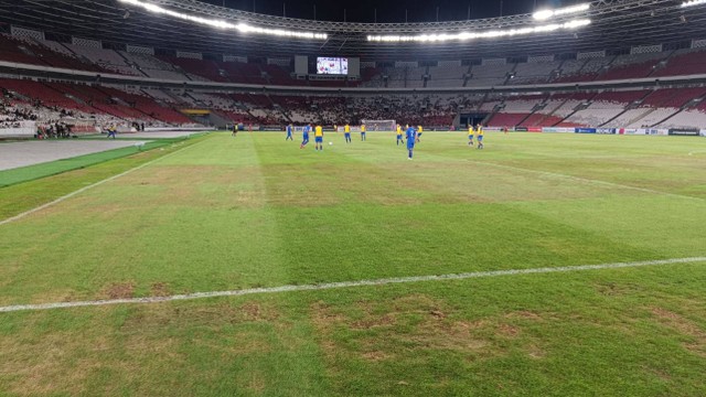 Kondisi rumput lapangan Stadion Utama Gelora Bung Karno (GBK), Jakarta, Jumat (26/1/2024). Foto: Aditia Noviansyah/kumparan