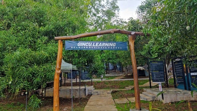 Tampak depan Gincu Learning yang tersedia di kedai kopi Gincu, sarana edukasi pengunjung yang ingin budidaya mangga sendiri. Sumber: Dok/Rifki Al Wafi