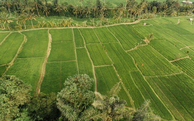 Corak Kehidupan Praaksara Nusantara Serta Kepercayaannya | Kumparan.com