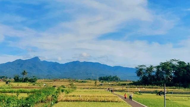 Ilustrasi The Kampung Halaman (bukan tempat sebenarnya). Sumber: Nisrina Nurhasna / Unsplash