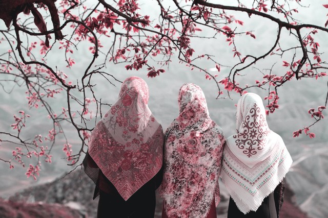 Ilustrasi Hidup damai dalam perbedaan akan membuahkan perasaan tenteram, sumber: unsplash/HasanAlmasi