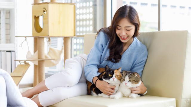 Perempuan dengan hewan peliharaannya kucing. Foto: Shutterstock