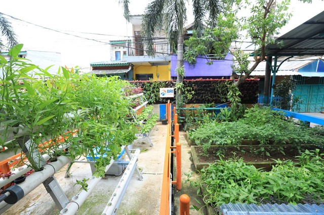 Kampung Palm Eco Green Village Malang program binaan BRI.