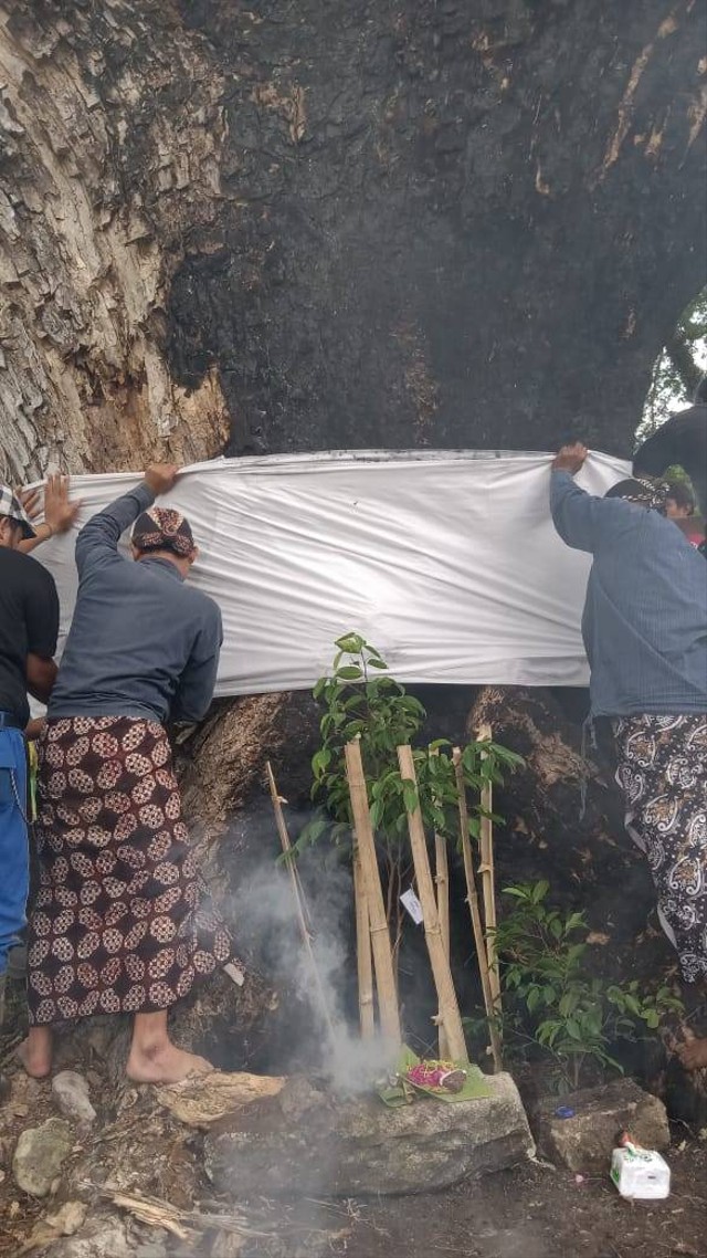 Tradisi nglangse, memberikan pakaian pada pohon sebagai simbol/peringatan untuk menjaga pohon resan