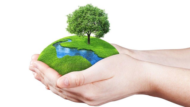 Ilustrasi Cara Mengatasi Kerusakan Lingkungan Alam. Sumber: Pixabay/pikakshay
