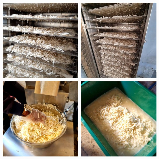 Pembuatan Tepung Singkong Termodifikasi dengan Metode Fermentasi