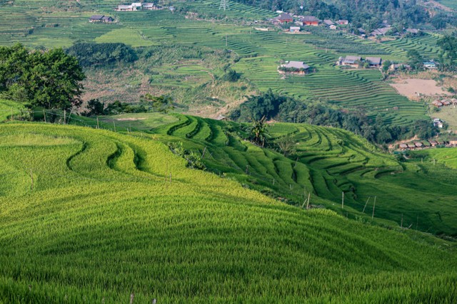 Mahaloka Paradise. Foto hanya ilustrasi, bukan tempat sebenarnya. Sumber: https://unsplash.com/