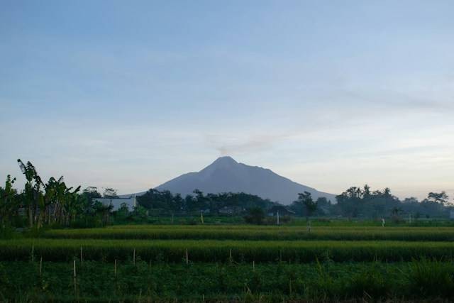 Merapi, Tembi Rumah Budaya (bukan tempat sebenarnya). Sumber: Elang Wardhana / Unsplash