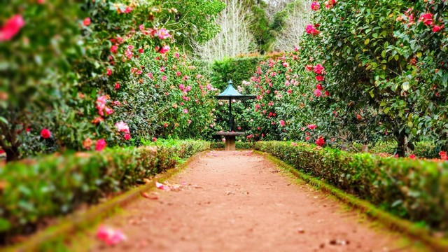 Taman Pramuka Bandung. Foto hanya ilustrasi, bukan tempat sebenarnya. Sumber: Unsplash/ignacio correia