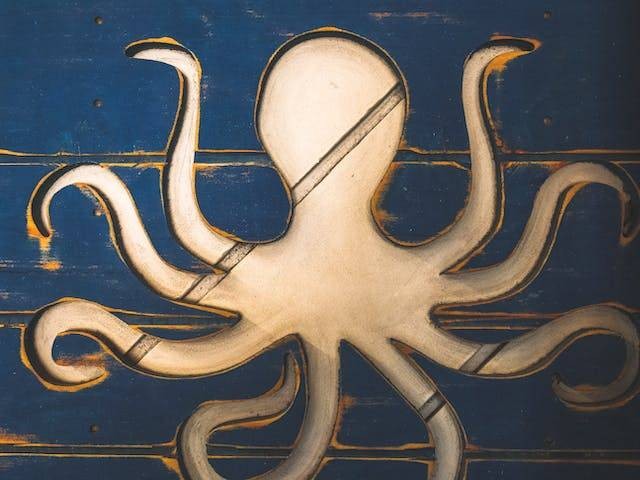 Foto hanya ilustrasi. Gurita memiliki berapa tentakel. Sumber: Pexels / Kindel Media