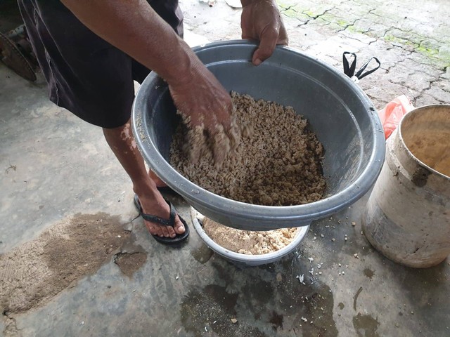 Narapidana Lapas Magelang Terlibat dalam Pemberian Pakan Ternak