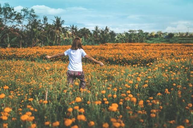 Padang Bunga Kasna. Foto hanyalah ilustrasi, bukan tempat yang sebenarnya. Sumber: Unsplash/Artem Beliaikin