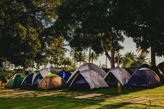 Buperta Cibubur, foto hanya ilustrasi, bukan tempat sebenarnya: Pexels/Jonathan Borba