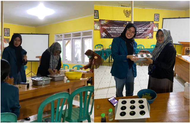 Penyuluhan dan pembinaan budidaya hidroponik rumahan. 