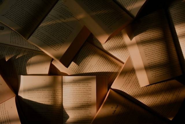 Ilustrasi Kalimat Ungkapan Persuasif dalam Teks Negosiasi. Foto: dok. Unsplash/Rey Seven