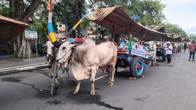 Suasana persiapan jelang kirab 21 sapi di Jalan Ngarsopuro, Solo, Jawa Tengah, Sabtu (10/2/2024). Foto: Fadlan Nuril Fahmi/kumparan
