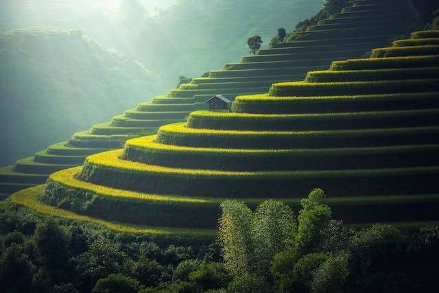Mengapa negara-negara Asia Tenggara memiliki tanah yang subur. Sumber: pexels.com