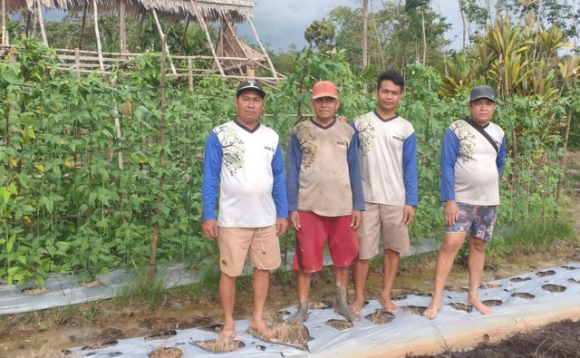 Foto dokumen : Kelompok pertanian organik di Hutan Desa Padu Banjar, Simpang Hilir, Kayong Utara, Kalimantan Barat. (Foto dok. Yayasan Palung).