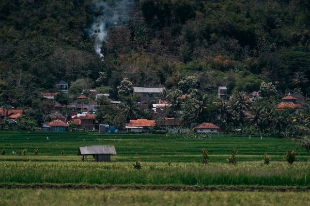 Ilustrasi asal daerah Pattimura, sumber foto: el jusuf by pexels.com