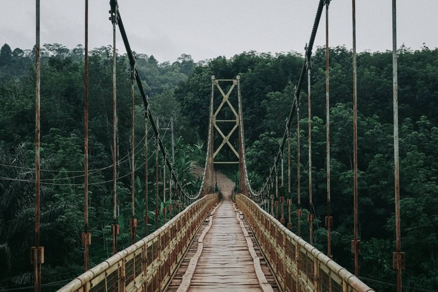 Wood Bridge Orchid Forest. Foto hanya ilustrasi, bukan tempat sebenarnya. Sumber: Unsplash/devi puspita amartha yahya