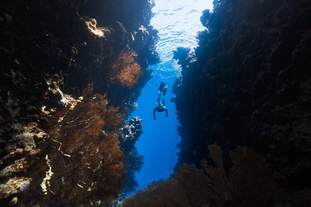  Ilustrasi Tempat Snorkeling di Gili Islands, Foto Unsplash/NEOM