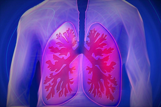 Ilustrasi tempat terjadinya pertukaran oksigen dan karbondioksida dalam paru-paru. Sumber: Pixabay / kalhh