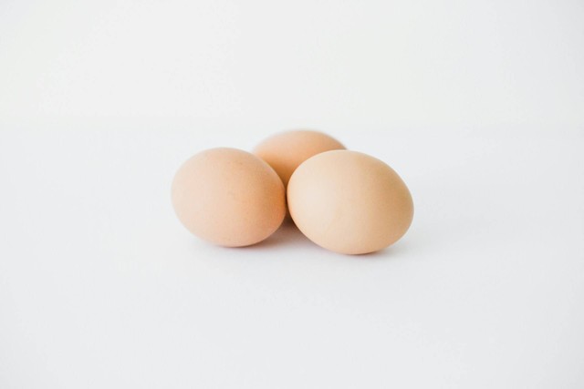 Ilustrasi sudah 21 hari telur ayam belum menetas (Unsplash)