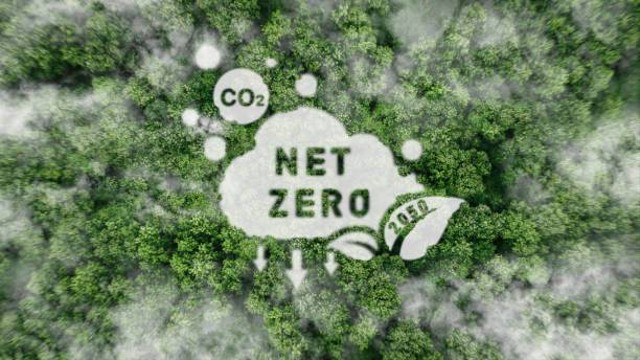 Ilustrasi Apa Itu Net Zero Emission, Foto: Unsplash/Khanchit Khirisutchalual.