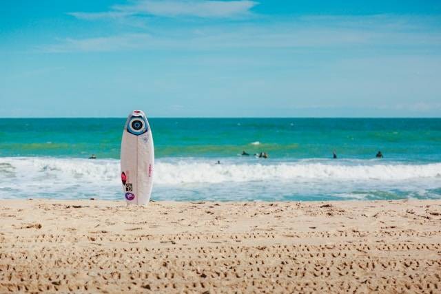 Malini Agropark Uluwatu. Foto hanya ilustrasi bukan tempat sebenarnya. Sumber foto: Unsplash.com/Lacie Slezak