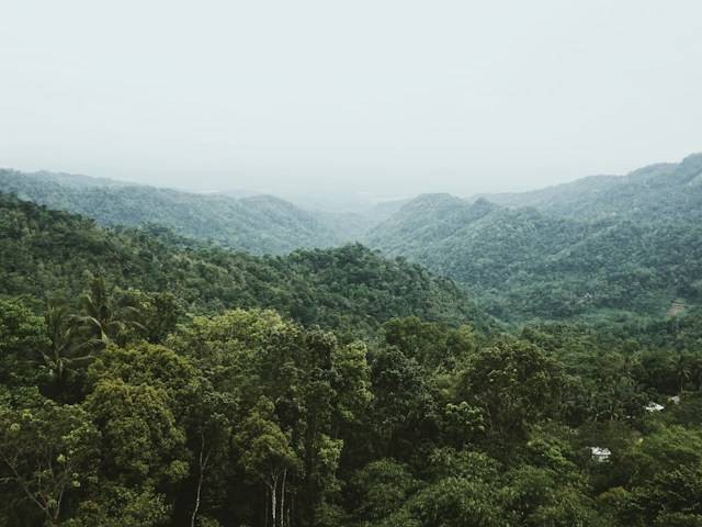 Puncak Widosari. Foto hanyalah ilustrasi, bukan tempat yang sebenarnya. Sumber: Unsplash/Afriyandi Setiawan