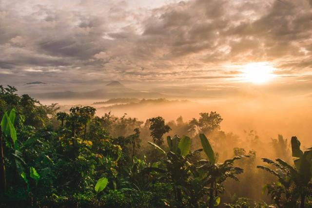 Ilustrasi Desa Wisata Grogol, Unsplash/Latrach Med Jamil