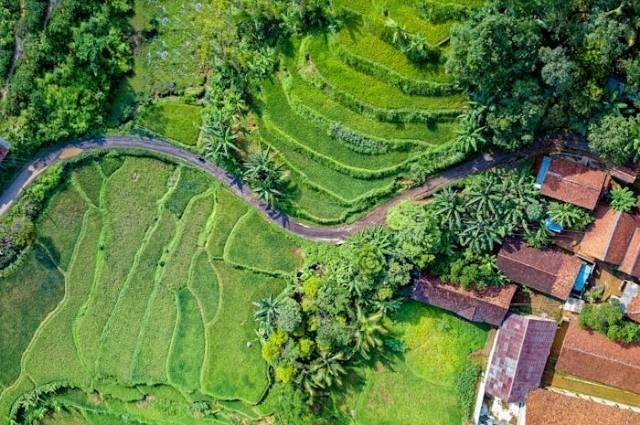 Ilustrasi perkembangan ekonomi pada masa reformasi, sumber foto: Tom Fisk by pexels.com