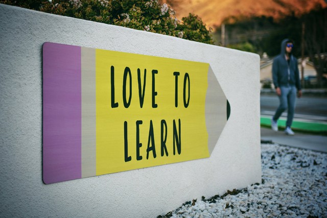Ilustrasi Jardin Scholarship 2024. Unsplash/Tim M.