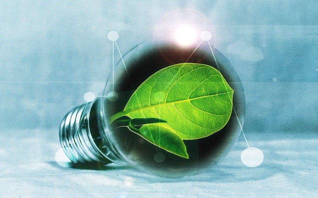 https://pixabay.com/photos/lightbulb-leaf-chlorophyll-green-2632075/
